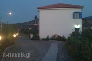 Elpis_best deals_Hotel_Aegean Islands_Lesvos_Anaxos