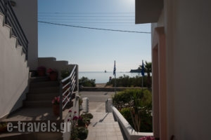 Studios Alcioni_holidays_in_Apartment_Cyclades Islands_Andros_Andros Chora