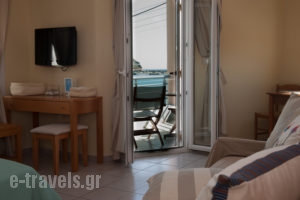 Studios Alcioni_best prices_in_Apartment_Cyclades Islands_Andros_Andros Chora