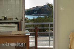 Studios Alcioni_lowest prices_in_Apartment_Cyclades Islands_Andros_Andros Chora