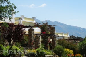 Ktima Nikola_best prices_in_Room_Central Greece_Evia_Leykanti