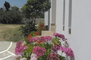 Studios Parian Blu_best prices_in_Hotel_Cyclades Islands_Antiparos_Antiparos Chora