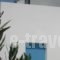 Studios Parian Blu_travel_packages_in_Cyclades Islands_Antiparos_Antiparos Chora