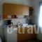 Paradise Apartments_best prices_in_Room_Crete_Lasithi_Ierapetra