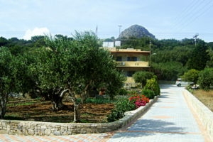 Paradise Apartments_travel_packages_in_Crete_Lasithi_Ierapetra