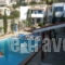 Eleni's_best prices_in_Apartment_Crete_Lasithi_Koutsounari