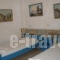 Eleni's_lowest prices_in_Apartment_Crete_Lasithi_Koutsounari