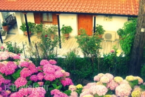 Dafni Apartments_best deals_Room_Peloponesse_Arcadia_Kastri