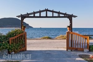 Del Sol Takis - Sophie_lowest prices_in_Apartment_Sporades Islands_Skopelos_Skopelos Chora