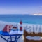 Dream View_accommodation_in_Hotel_Cyclades Islands_Naxos_Stelida