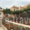 Kavousanos_accommodation_in_Apartment_Crete_Lasithi_Ammoudara