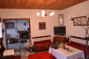 Villa Dryanouvaina_travel_packages_in_Thessaly_Magnesia_Portaria