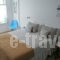 Anemomiloi_lowest prices_in_Apartment_Cyclades Islands_Andros_Andros Chora