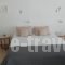 Anemomiloi_accommodation_in_Apartment_Cyclades Islands_Andros_Andros Chora