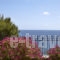 Avra Private Suites_accommodation_in_Room_Ionian Islands_Kefalonia_Argostoli