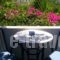 Galini Pension_holidays_in_Hotel_Cyclades Islands_Ios_Ios Chora