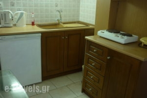 Ketis Studios Chora_best prices_in_Apartment_Dodekanessos Islands_Astipalea_Astipalea Chora