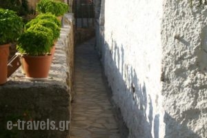 Giasemi Feloukatzi_best deals_Hotel_Aegean Islands_Samos_Karlovasi