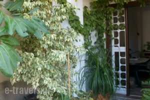 Giasemi Feloukatzi_travel_packages_in_Aegean Islands_Samos_Karlovasi