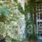Giasemi Feloukatzi_travel_packages_in_Aegean Islands_Samos_Karlovasi