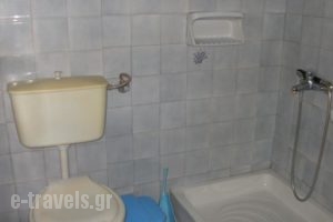 Giasemi Feloukatzi_lowest prices_in_Hotel_Aegean Islands_Samos_Karlovasi
