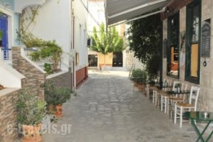 Studios Iris_best prices_in_Hotel_Aegean Islands_Samos_Pythagorio