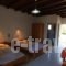 Ledakis Studios_best prices_in_Hotel_Crete_Chania_Sfakia