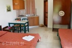 Flisvos_lowest prices_in_Hotel_Crete_Chania_Platanias