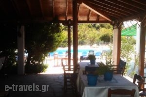 Studios -Hotel Villa Yliessa_best deals_Villa_Thraki_Evros_Alexandroupoli