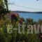 Kelly'S_lowest prices_in_Hotel_Cyclades Islands_Antiparos_Antiparos Chora