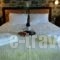 Akrothea_holidays_in_Hotel_Peloponesse_Korinthia_Gkoura