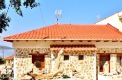 Studios Elina in Thasos Rest Areas, Thasos, Aegean Islands