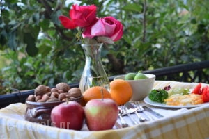 Guesthouse Italiano_best deals_Room_Peloponesse_Korinthia_Evrostina