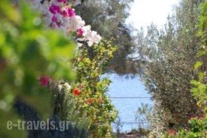 Kelly'S_best prices_in_Hotel_Cyclades Islands_Antiparos_Antiparos Chora