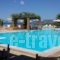 Panselinos Hotel_lowest prices_in_Hotel_Aegean Islands_Lesvos_Mythimna (Molyvos)