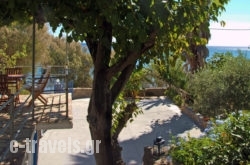 Zaga-Giorgos Papasarantopoulos_s __1