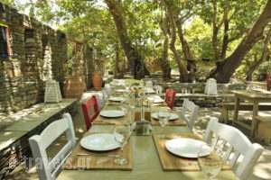 Onar Andros_best prices_in_Room_Cyclades Islands_Andros_Andros Chora