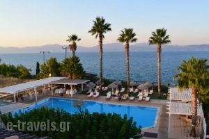 Villa Eugenia_travel_packages_in_Central Greece_Fthiotida_Theologos