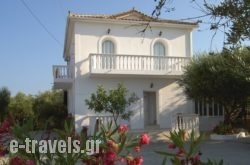 Valentino Villas & Apartments in Zakinthos Rest Areas, Zakinthos, Ionian Islands