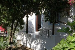 Saint Nicolas Bungalows_accommodation_in_Hotel_Dodekanessos Islands_Karpathos_Karpathos Chora