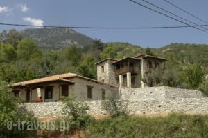 Xenonas Pikoulianika_accommodation_in_Apartment_Peloponesse_Lakonia_Mystras