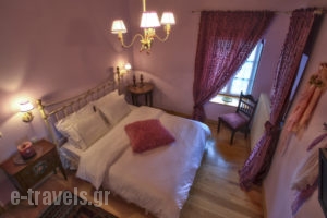 Papigo Towers_accommodation_in_Room_Epirus_Ioannina_Papiggo