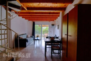 Antonis Studios & Apartments_best prices_in_Apartment_Crete_Rethymnon_Plakias