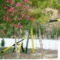 Villa Angeliki_best prices_in_Villa_Ionian Islands_Corfu_Perivoli