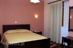 Guesthouse Idiston_lowest prices_in_Hotel_Macedonia_kastoria_Aposkepos