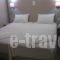 Lux_best prices_in_Hotel_Central Greece_Attica_Piraeus