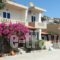 Platanos Studios_accommodation_in_Hotel_Crete_Rethymnon_Plakias