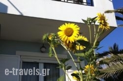 Vasilas in Sandorini Chora, Sandorini, Cyclades Islands