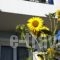 Vasilas_accommodation_in_Hotel_Aegean Islands_Lesvos_Tavari