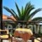 Pension Marina_best prices_in_Hotel_Aegean Islands_Thassos_Thassos Chora